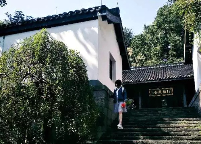 浙江工業(yè)大學(xué)毛露婷：從現(xiàn)在開始讓自己努力變強(qiáng)吧！